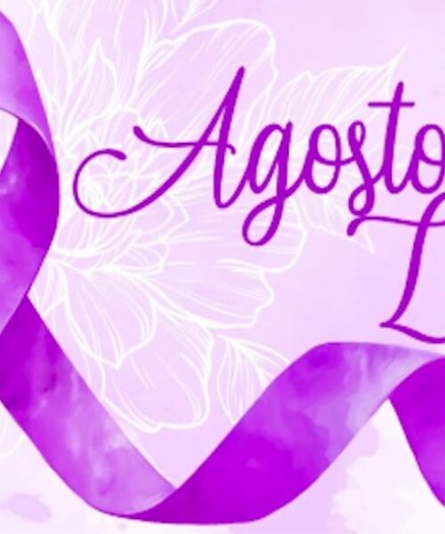 Agosto Lilás: A importância da lei, a luta pela defesa dos direitos e a luta pelo fim da violência contra a mulher.
