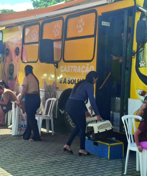 Castrando o Futuro: Poá Realiza Mutirão Gratuito em Colaboração com o Instituto Luisa Mell