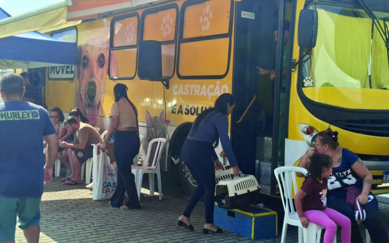 Castrando o Futuro: Poá Realiza Mutirão Gratuito em Colaboração com o Instituto Luisa Mell