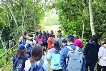 Iniciativa Roteiros explora as belezas do Parque Municipal