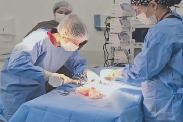 Hospital Pró-Pet 24 Horas realiza sua estreia em cirurgias ortopédicas