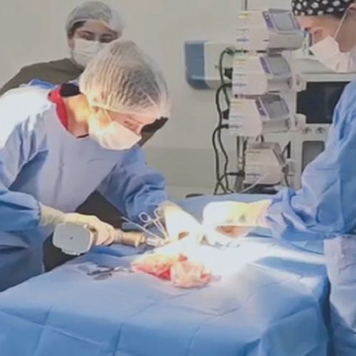 Hospital Pró-Pet 24 Horas realiza sua estreia em cirurgias ortopédicas