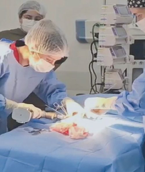 Hospital Pró-Pet 24 Horas realiza sua estreia em cirurgias ortopédicas