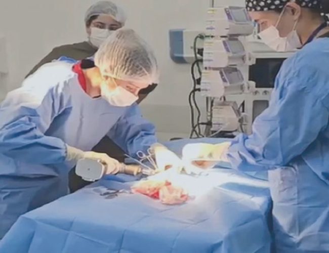 Hospital Pró-Pet 24 Horas realiza sua estreia em cirurgias ortopédicas