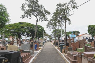 Finados se aproxima: Limpeza de túmulos deve ser concluída até 28 de outubro