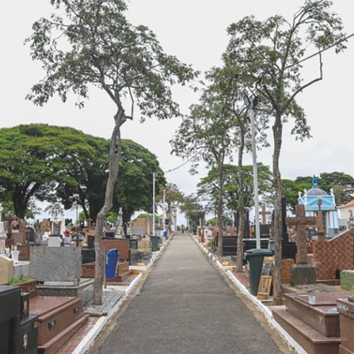 Finados se aproxima: Limpeza de túmulos deve ser concluída até 28 de outubro