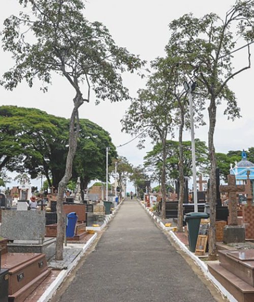 Finados se aproxima: Limpeza de túmulos deve ser concluída até 28 de outubro