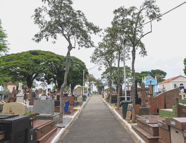 Finados se aproxima: Limpeza de túmulos deve ser concluída até 28 de outubro